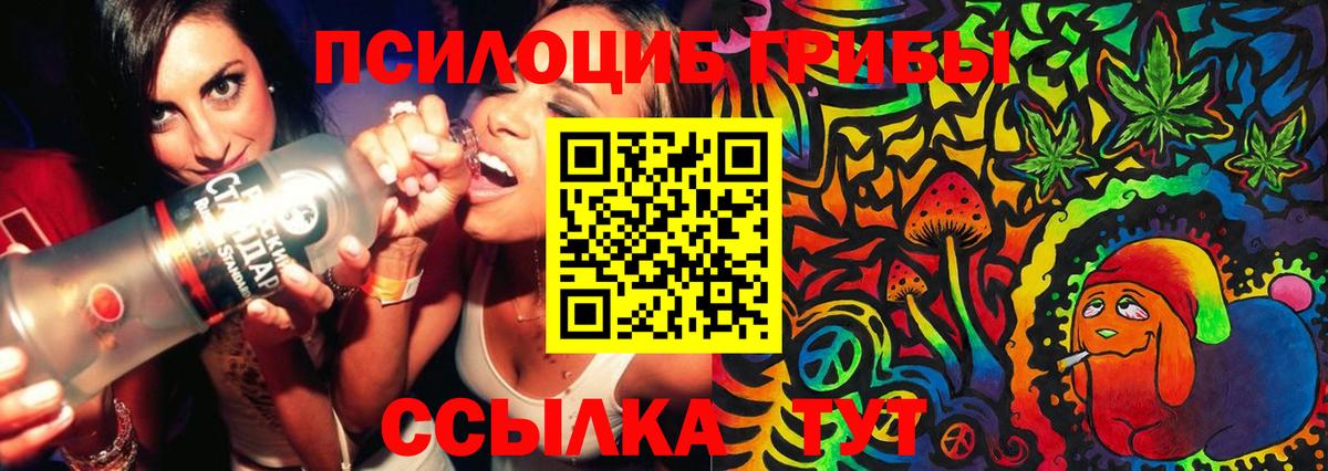 Дербент  Псилоцибиновые грибы MAGIC MUSHROOMS  Вход с VPN 